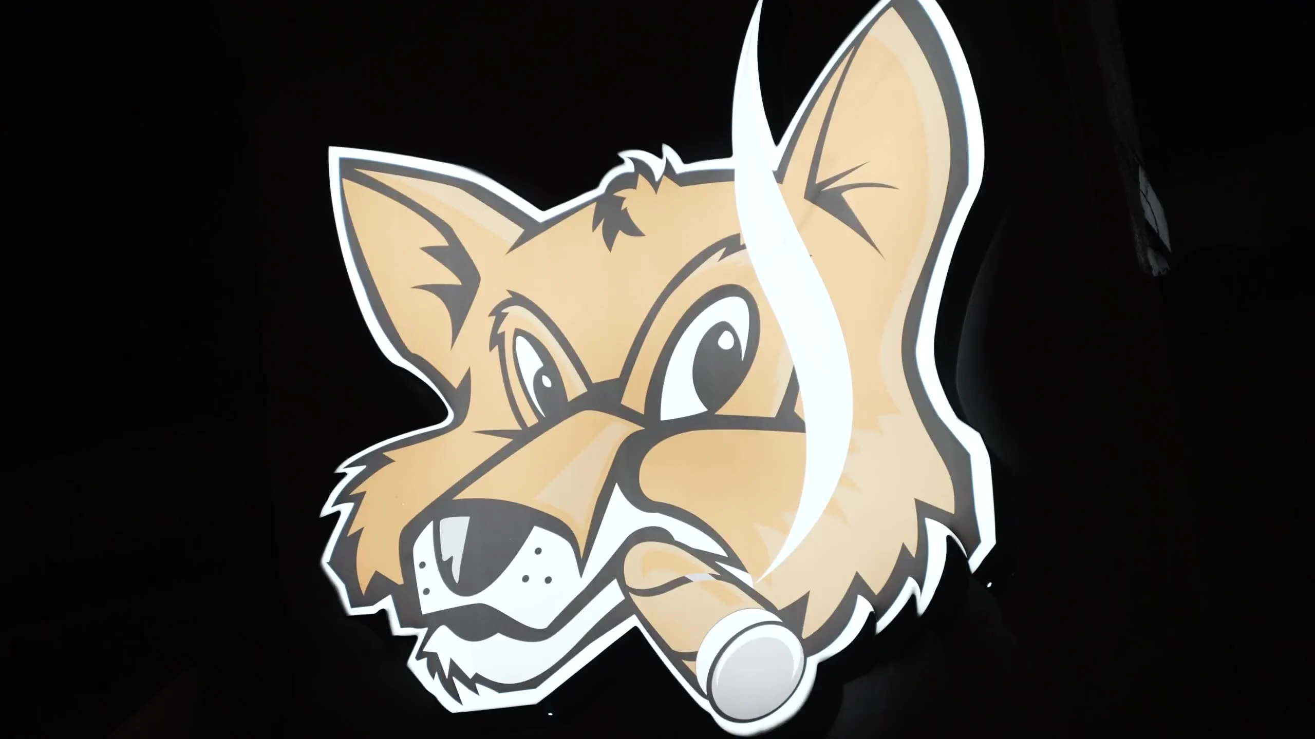 The illuminated Fox Cigar Bar fox sign